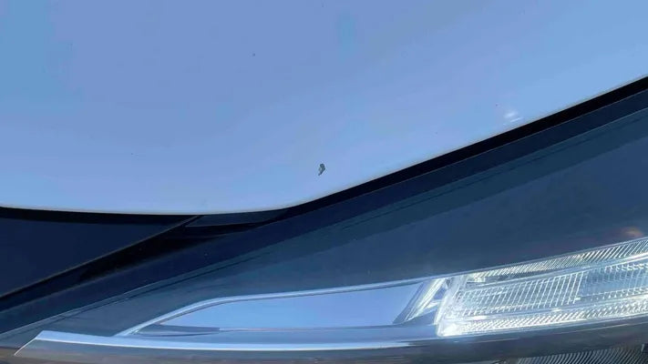 Renault Clio V Société  Clio Société dCi 85, Blau, Klima, Navi