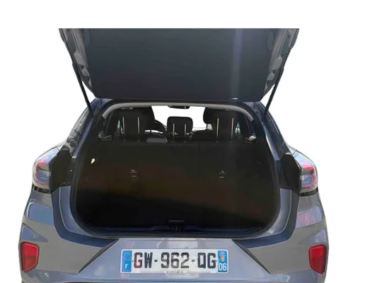FORD PUMA  1.0 Flexifuel 125 PS MHEV Start-Stopp-System 6-Gang-Schaltgetriebe Titanium