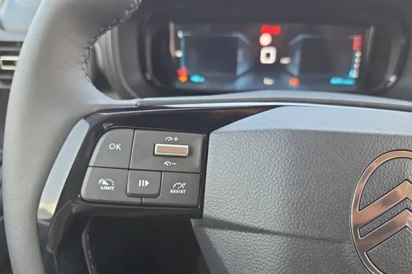 CITROËN BERLINGO Crew Cab